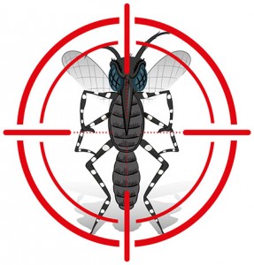 stock-vector-nature-aedes-aegypti-mosquito-with-stilt-sights-signal-or-target-front-ideal-for-informational-375645658